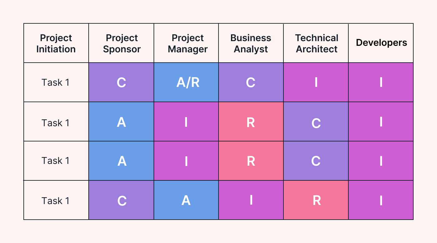 A RACI matrix for software